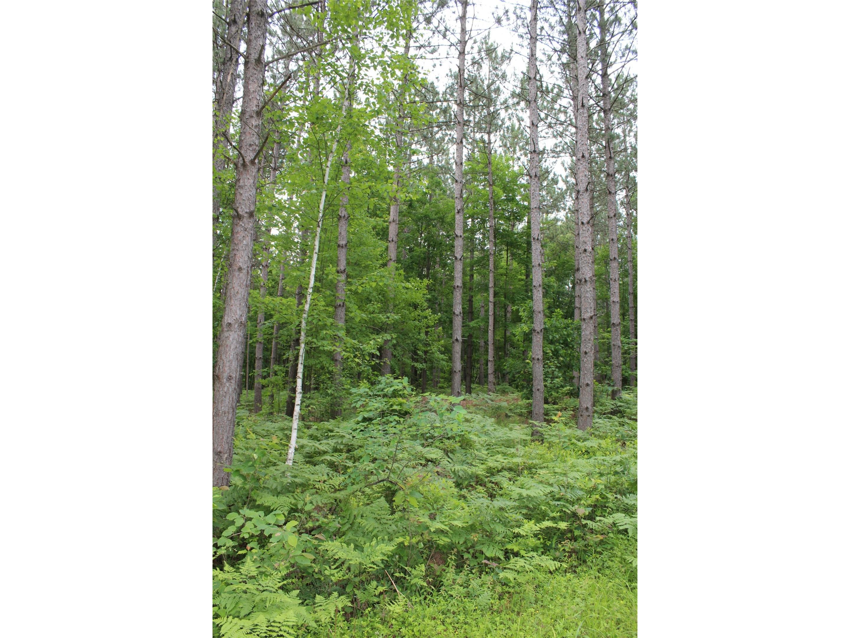 00 Rouse Road Neillsville WI 54456 1602316 image23
