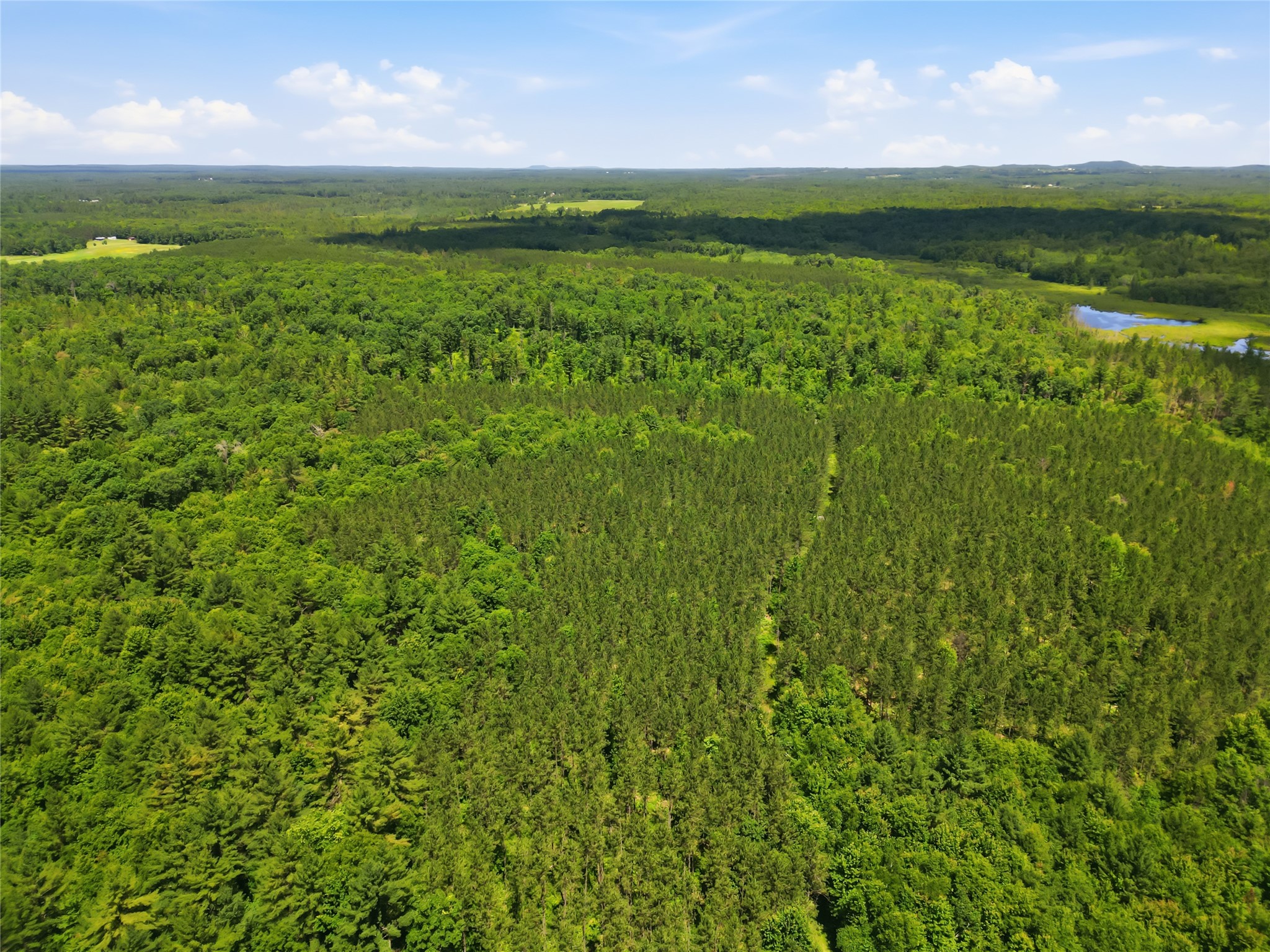 00 Rouse Road Neillsville WI 54456 1602316 image28