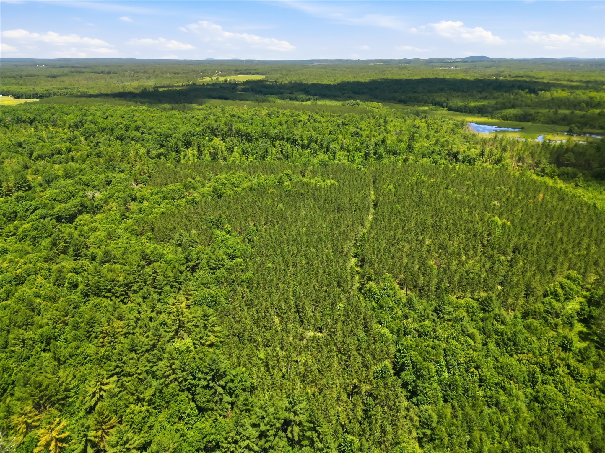 00 Rouse Road Neillsville WI 54456 1602316 image29