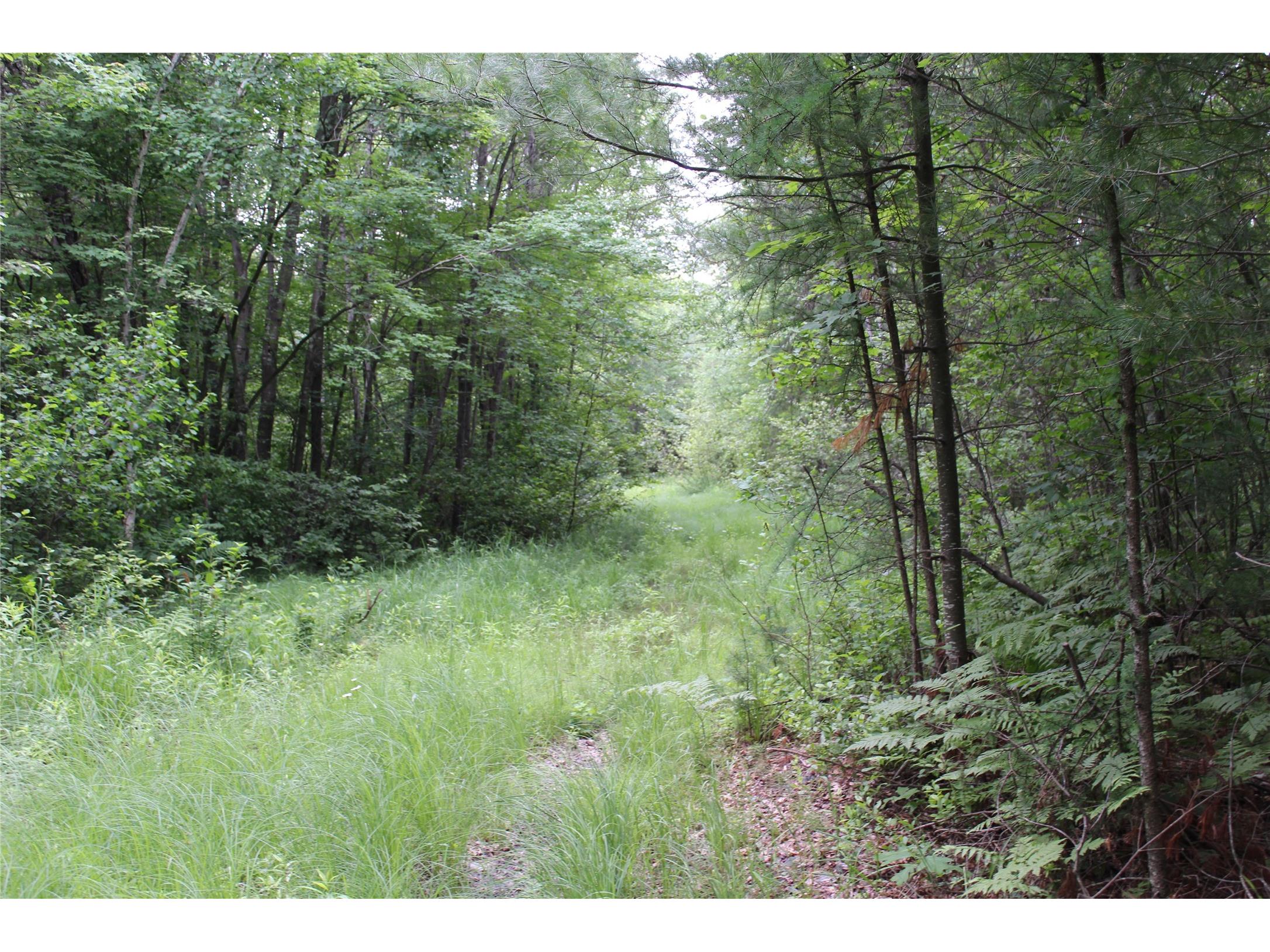 00 Rouse Road Neillsville WI 54456 1602316 image31