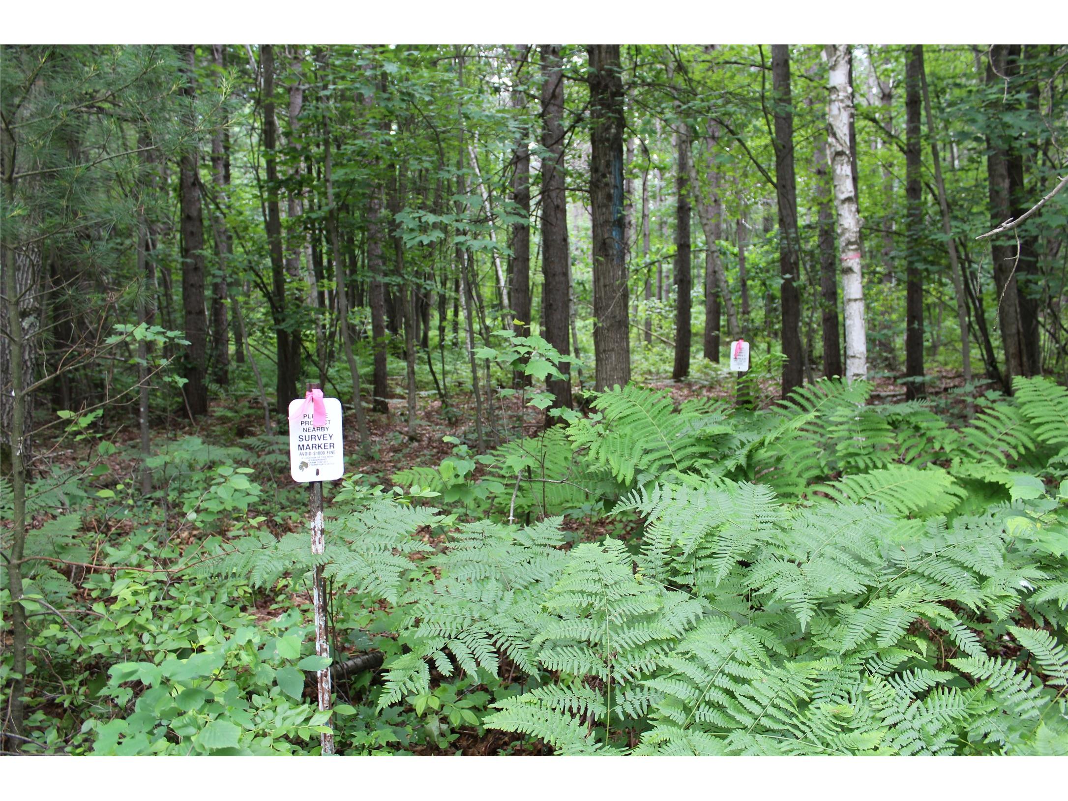 00 Rouse Road Neillsville WI 54456 1602316 image32