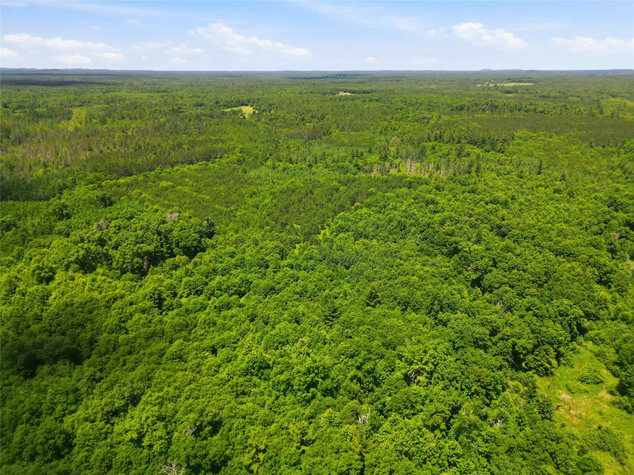 00 Rouse Road Neillsville WI 54456 1602316 image40