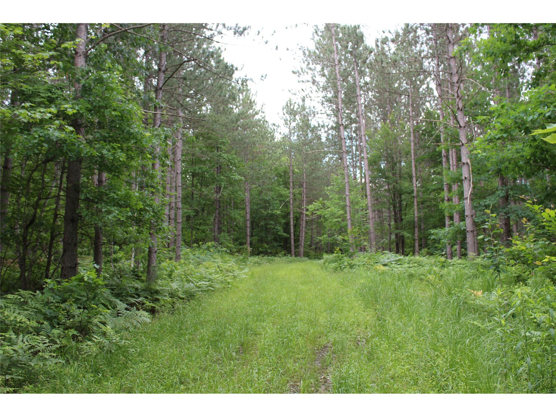 00 Rouse Road Neillsville WI 54456 1602316 image9