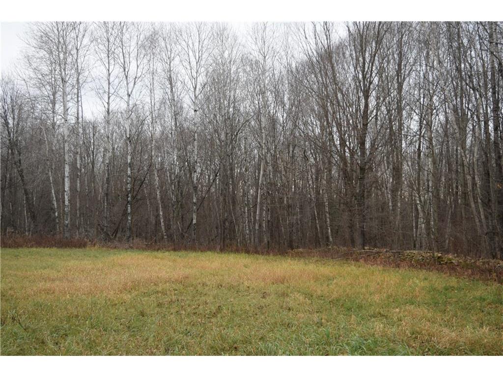 00 Runway Rd., Mosinee, WI 54455 MLS 1570128 Edina Realty