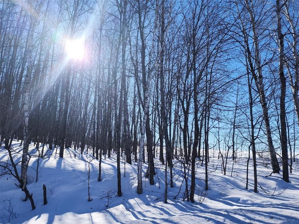 00 Sand Road, Shell Lake, WI, 54871 MLS 1571080 Edina Realty