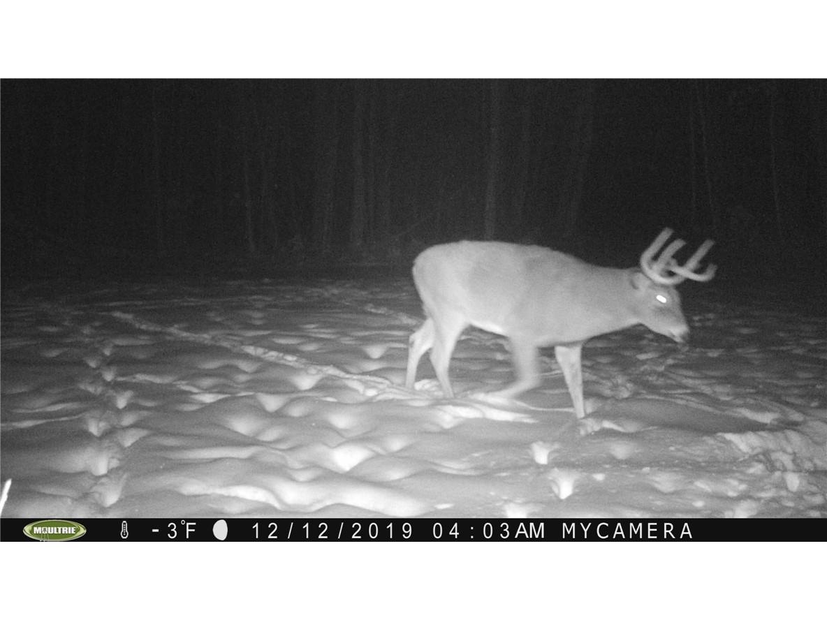 00 State Highway 13 Ashland WI 54806 1590641 image10