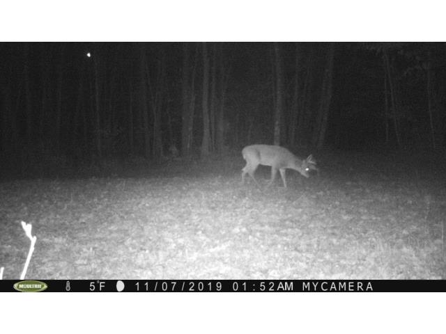 00 State Highway 13 Ashland WI 54806 1590641 image11