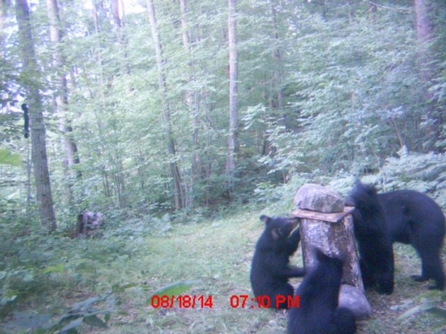 00 State Highway 13 Ashland WI 54806 1590641 image14