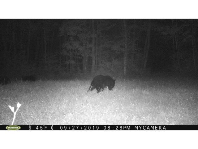 00 State Highway 13 Ashland WI 54806 1590641 image16