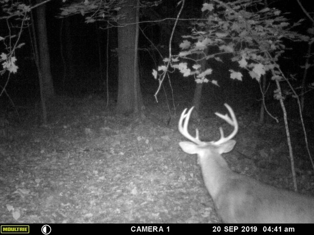 00 State Highway 13 Ashland WI 54806 1590641 image7