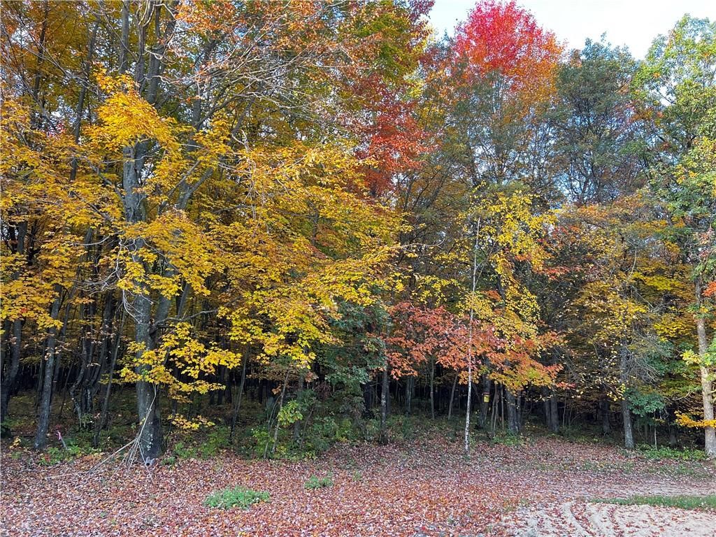 00 Stowe Birchwood WI 54817 1570244 image1