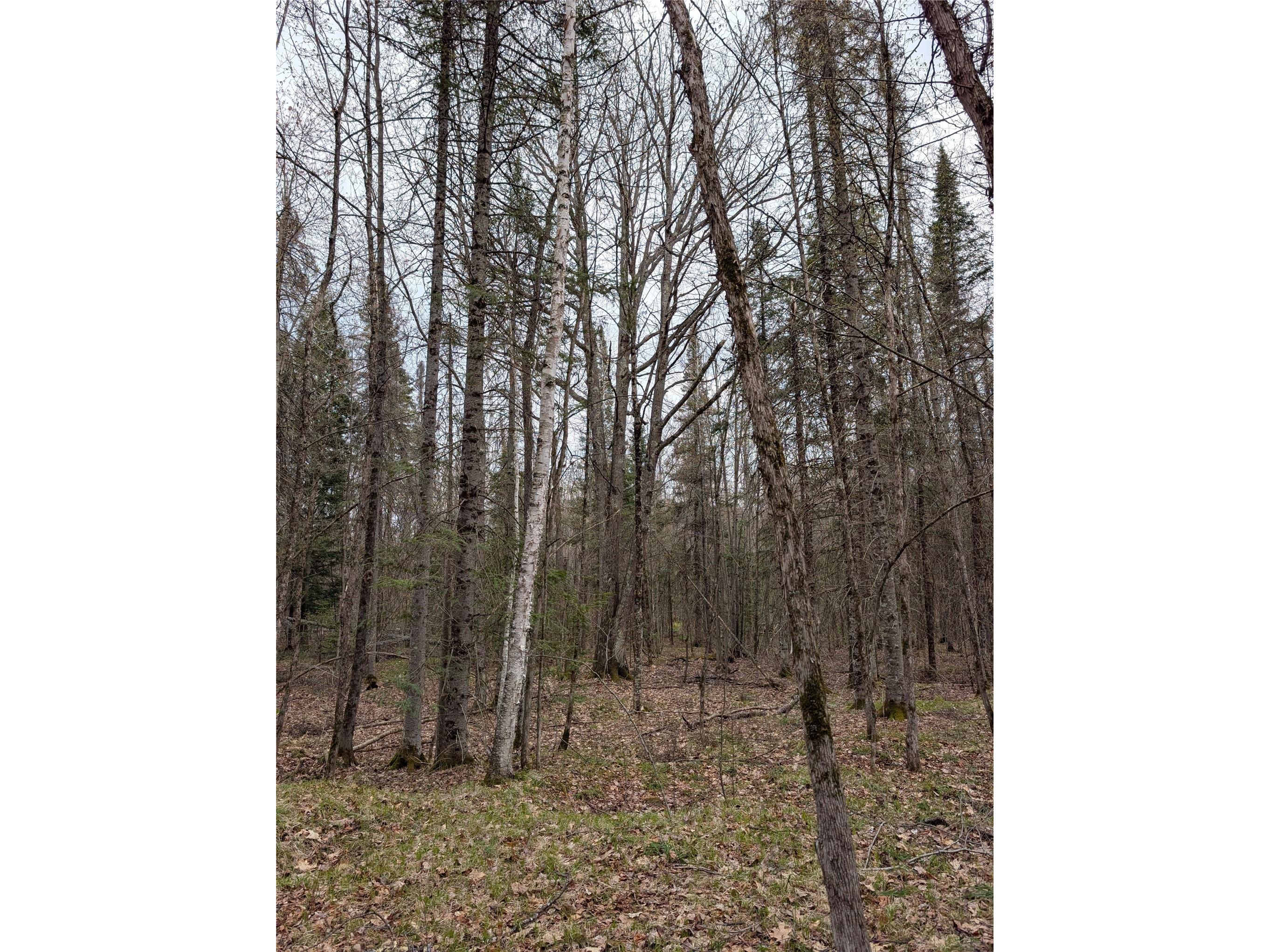 00 Us Hwy 63 Grand View WI 54839 1601008 image12