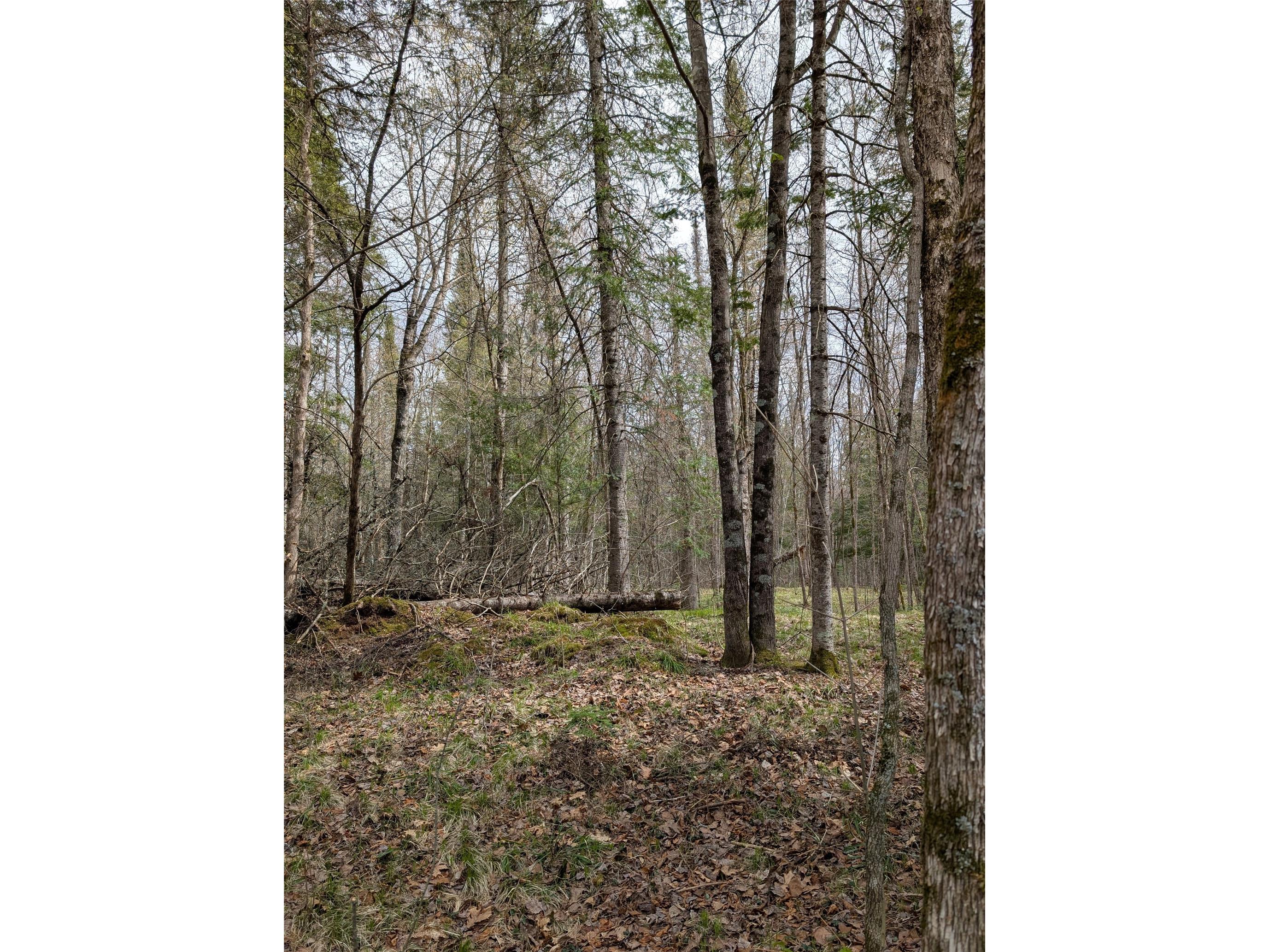 00 Us Hwy 63 Grand View WI 54839 1601008 image13