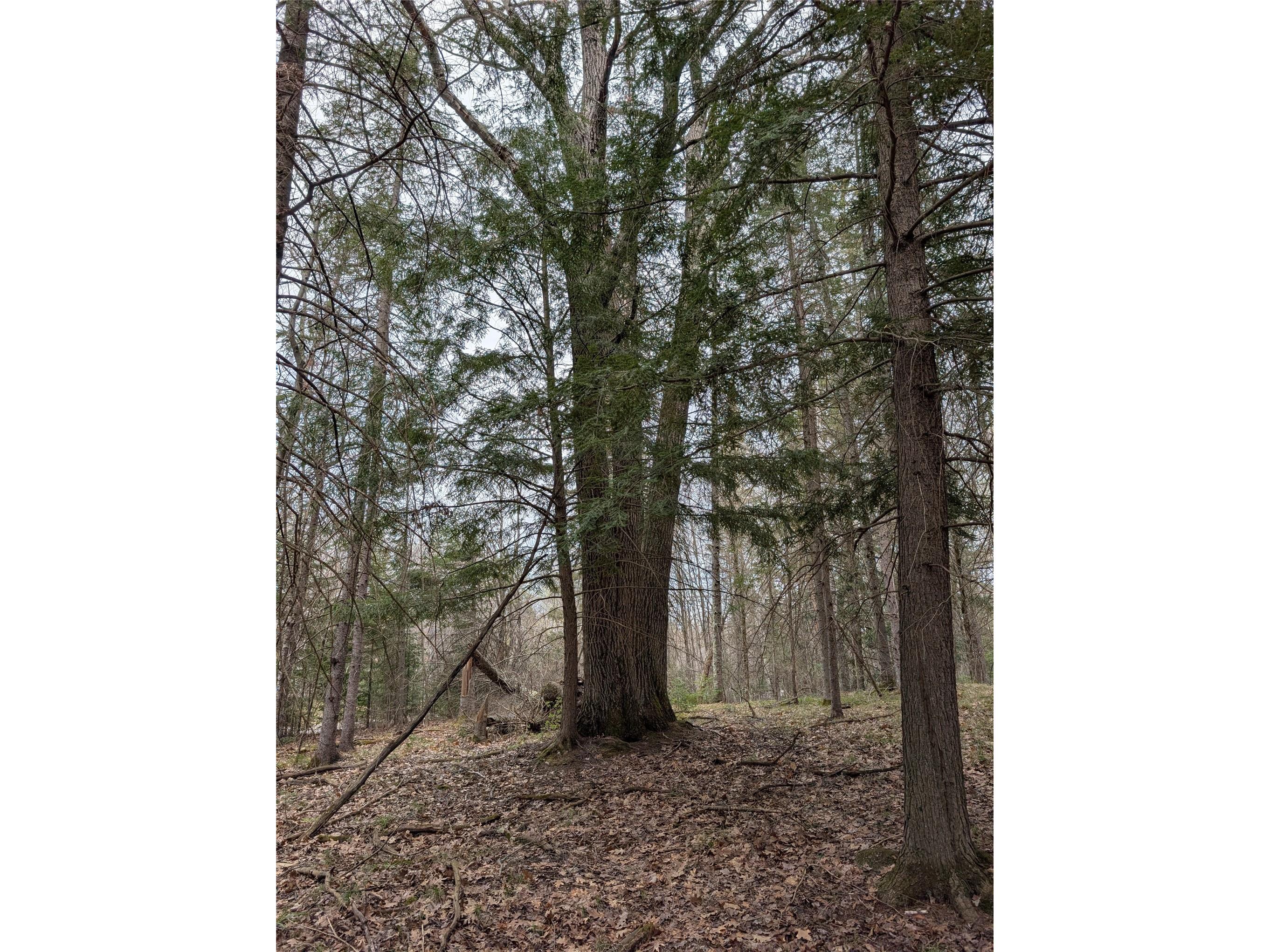 00 Us Hwy 63 Grand View WI 54839 1601008 image16