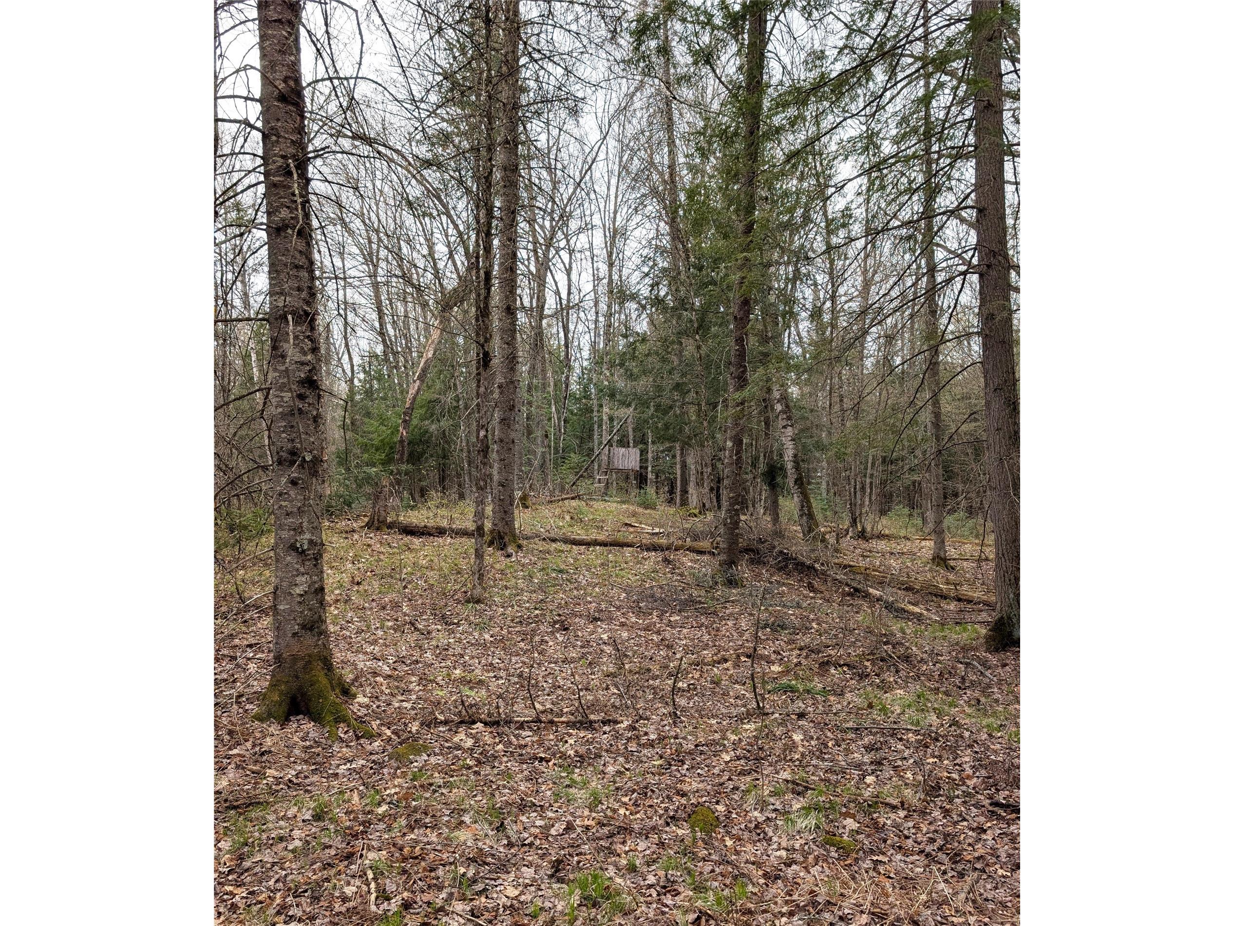 00 Us Hwy 63 Grand View WI 54839 1601008 image18