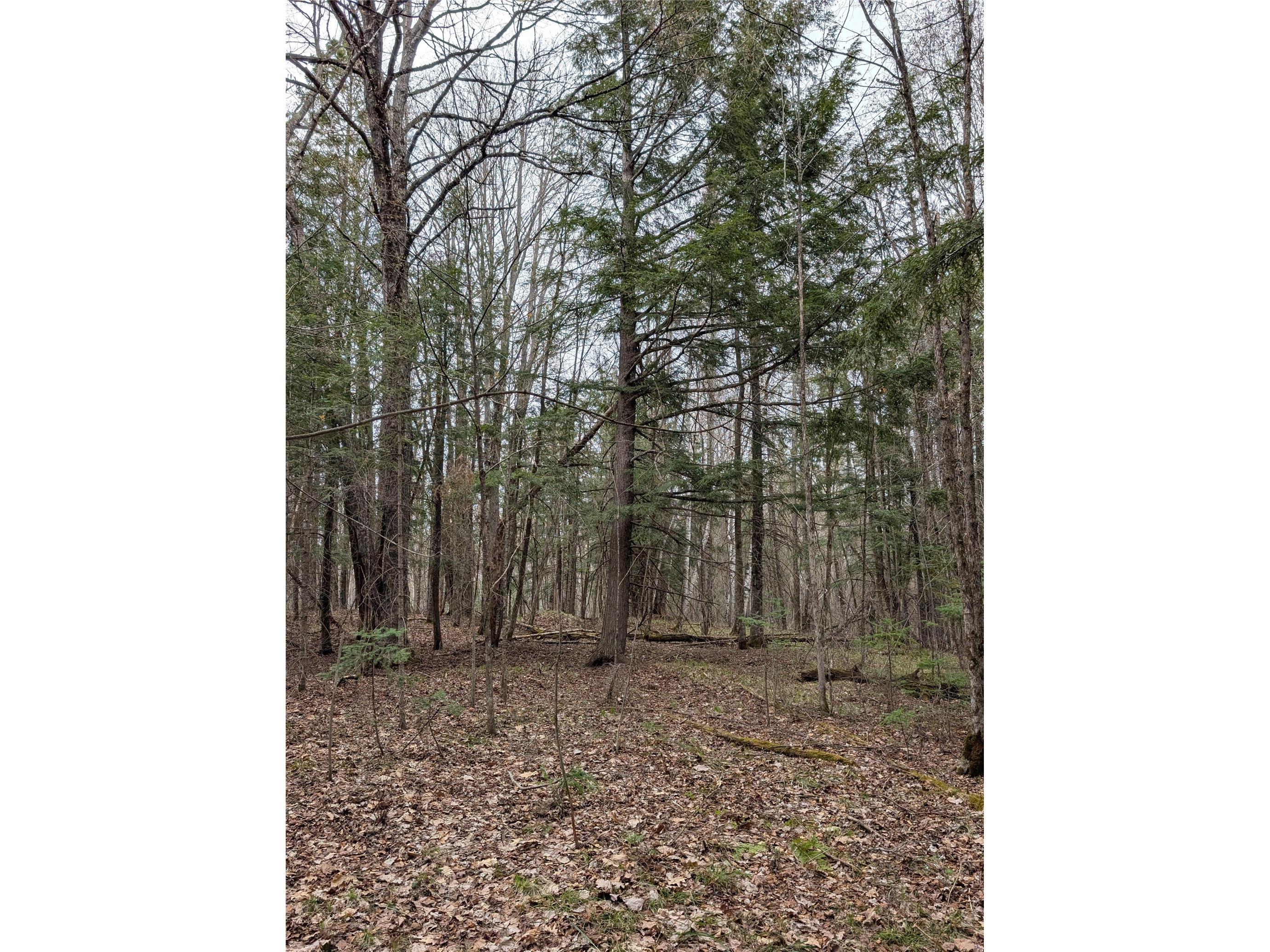 00 Us Hwy 63 Grand View WI 54839 1601008 image9