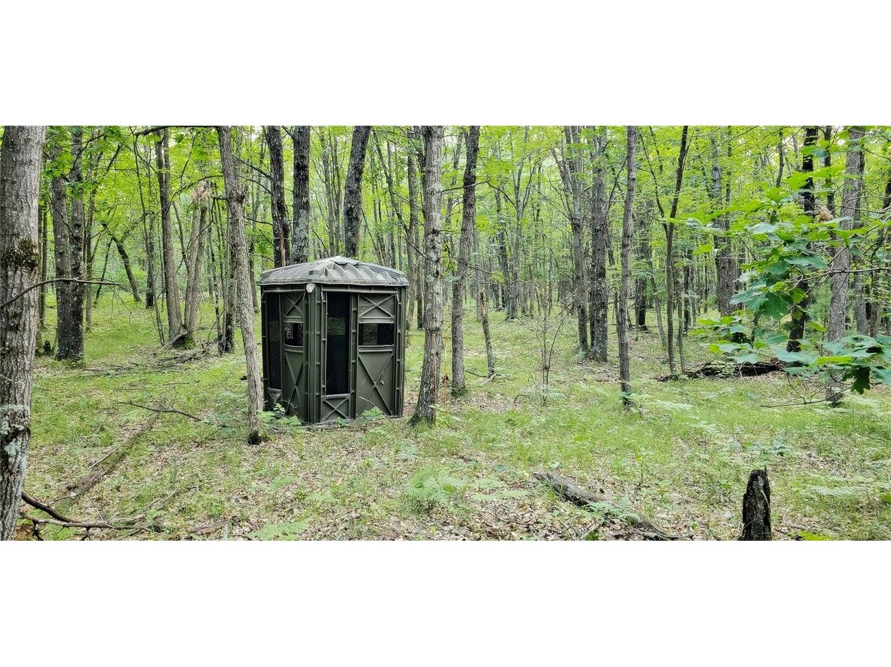 00 W Bauer Road Black River Falls WI 54615 1594056 image1