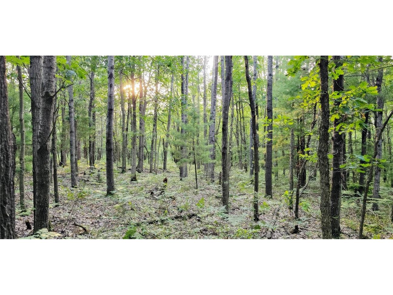 00 W Bauer Road Black River Falls WI 54615 1594056 image2