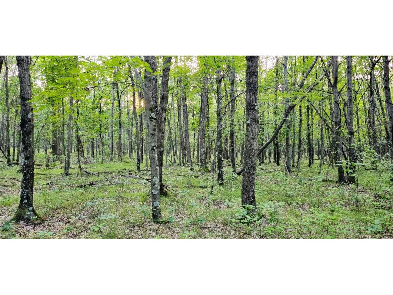 00 W Bauer Road Black River Falls WI 54615 1594056 image3