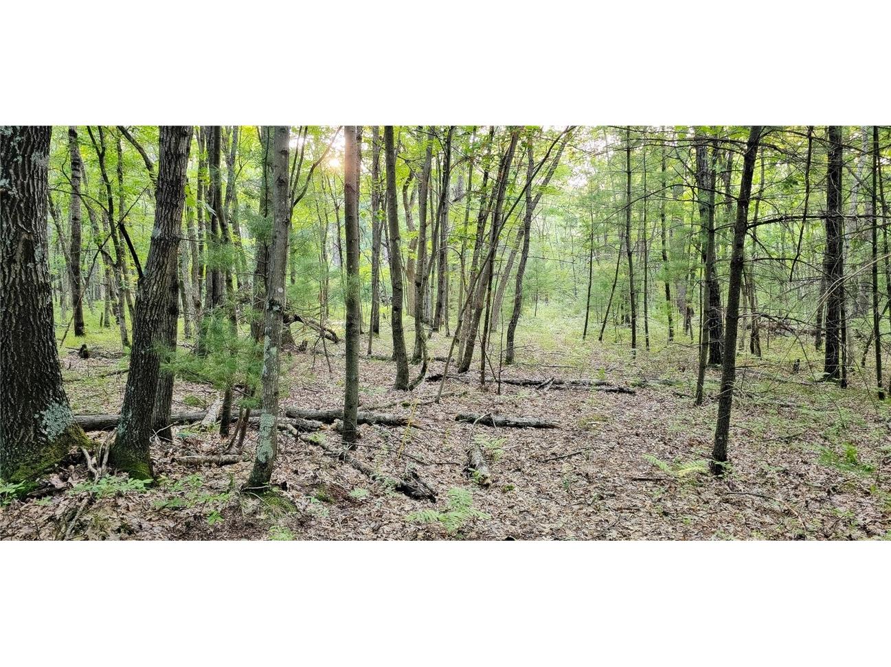 00 W Bauer Road Black River Falls WI 54615 1594056 image4