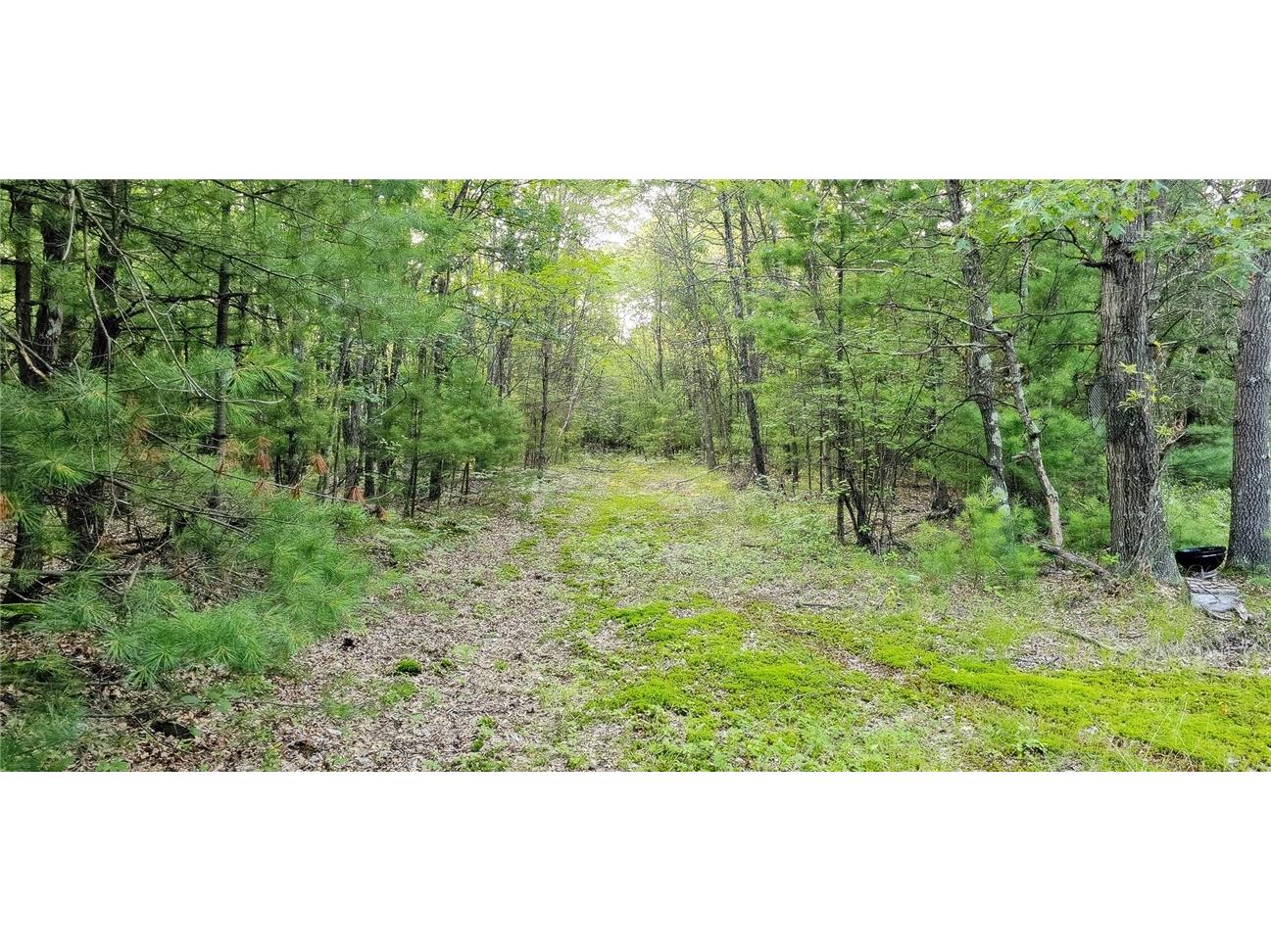 00 W Bauer Road Black River Falls WI 54615 1594056 image5