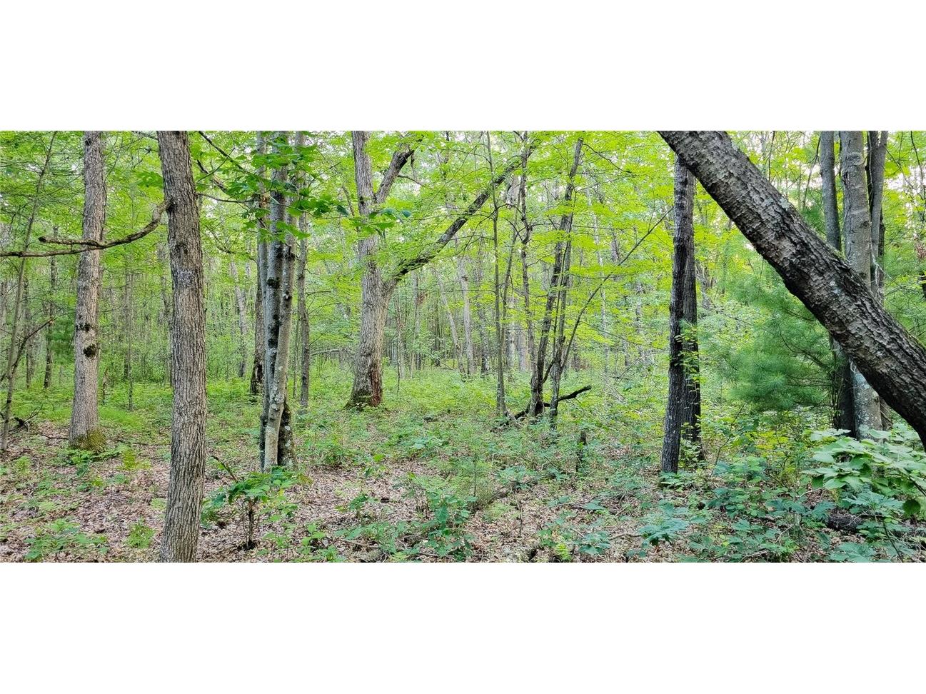 00 W Bauer Road Black River Falls WI 54615 1594056 image6