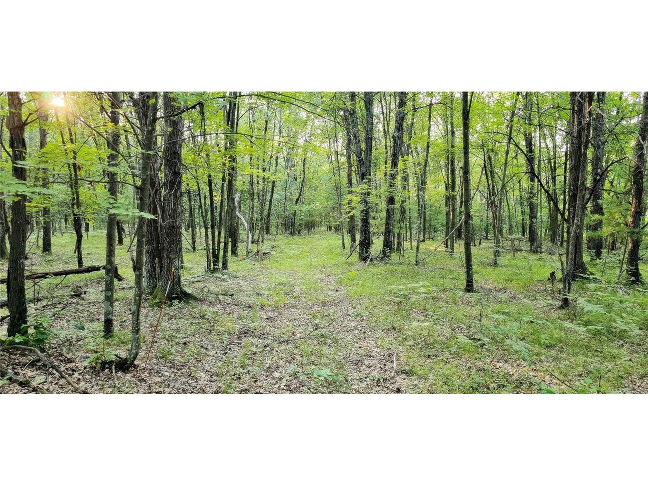 00 W Bauer Road Black River Falls WI 54615 1594056 image7