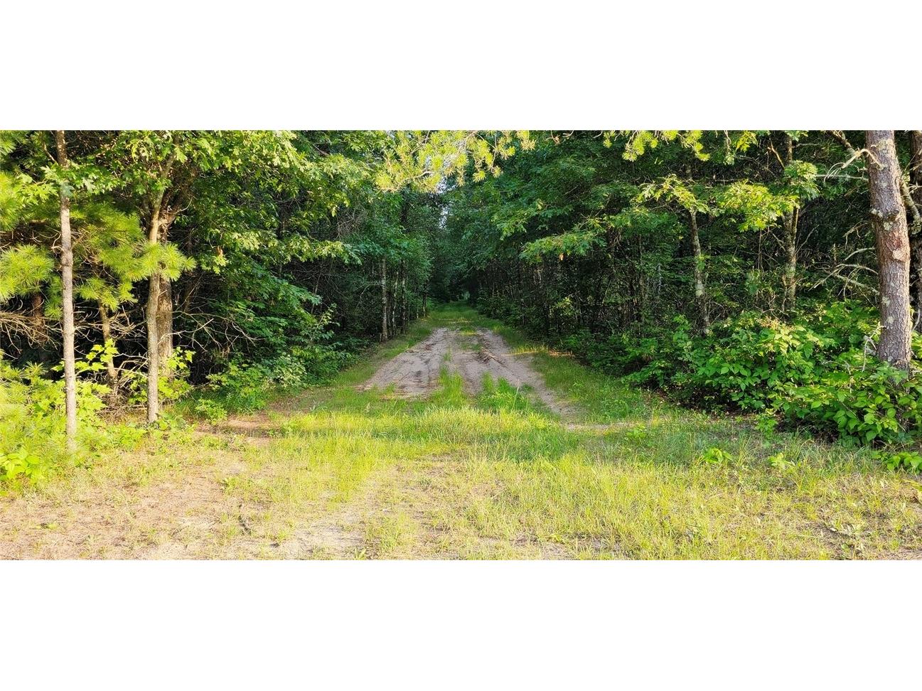 00 W Bauer Road Black River Falls WI 54615 1594056 image8