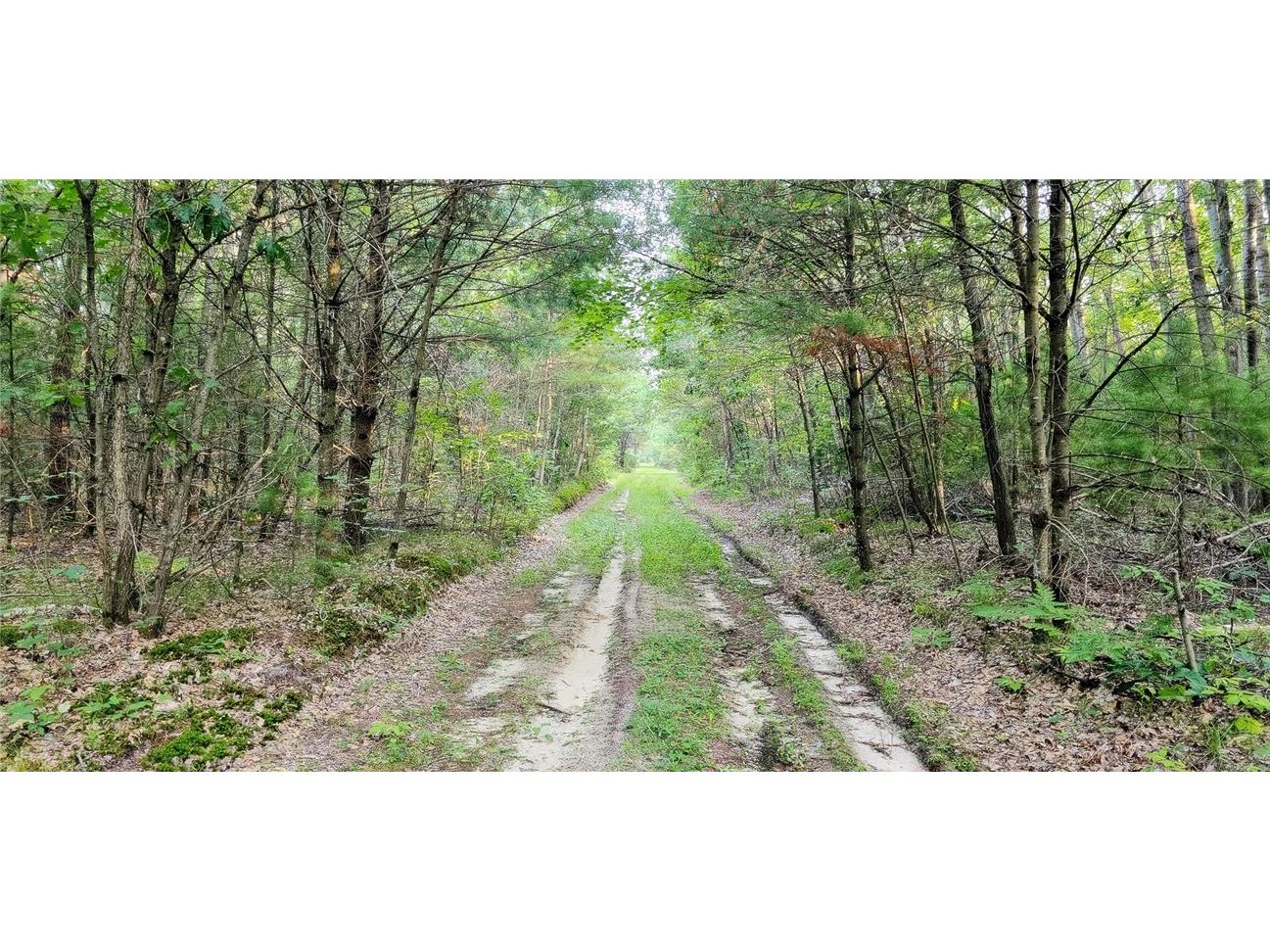 00 W Bauer Road Black River Falls WI 54615 1594056 image9