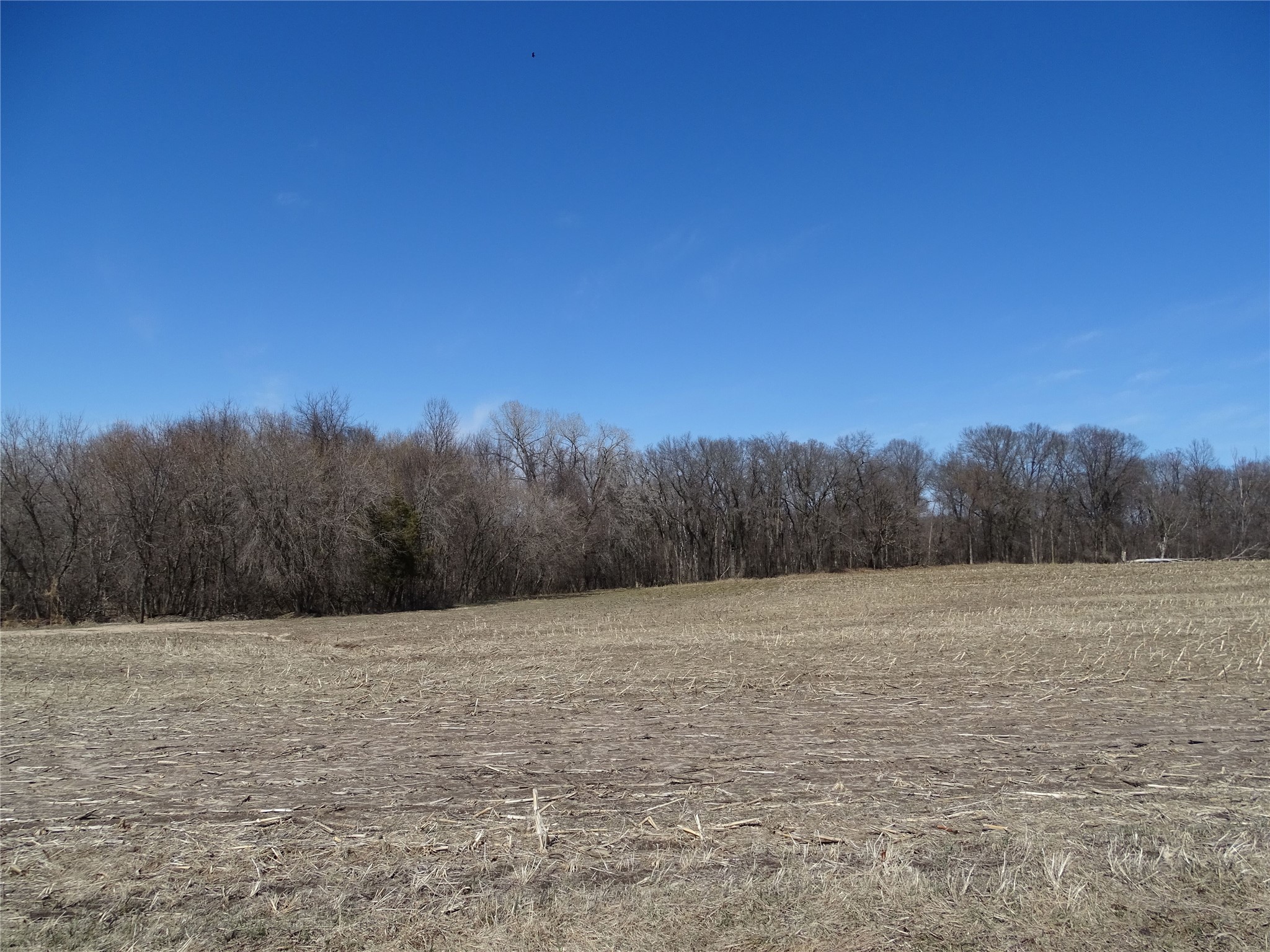 000 160th Avenue Maiden Rock WI 54750 1599762 image3