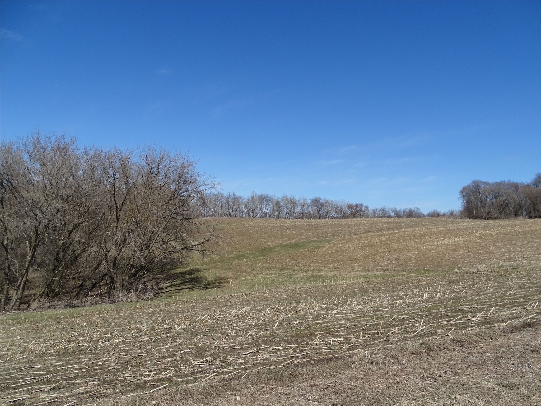 000 160th Avenue Maiden Rock WI 54750 1599762 image4