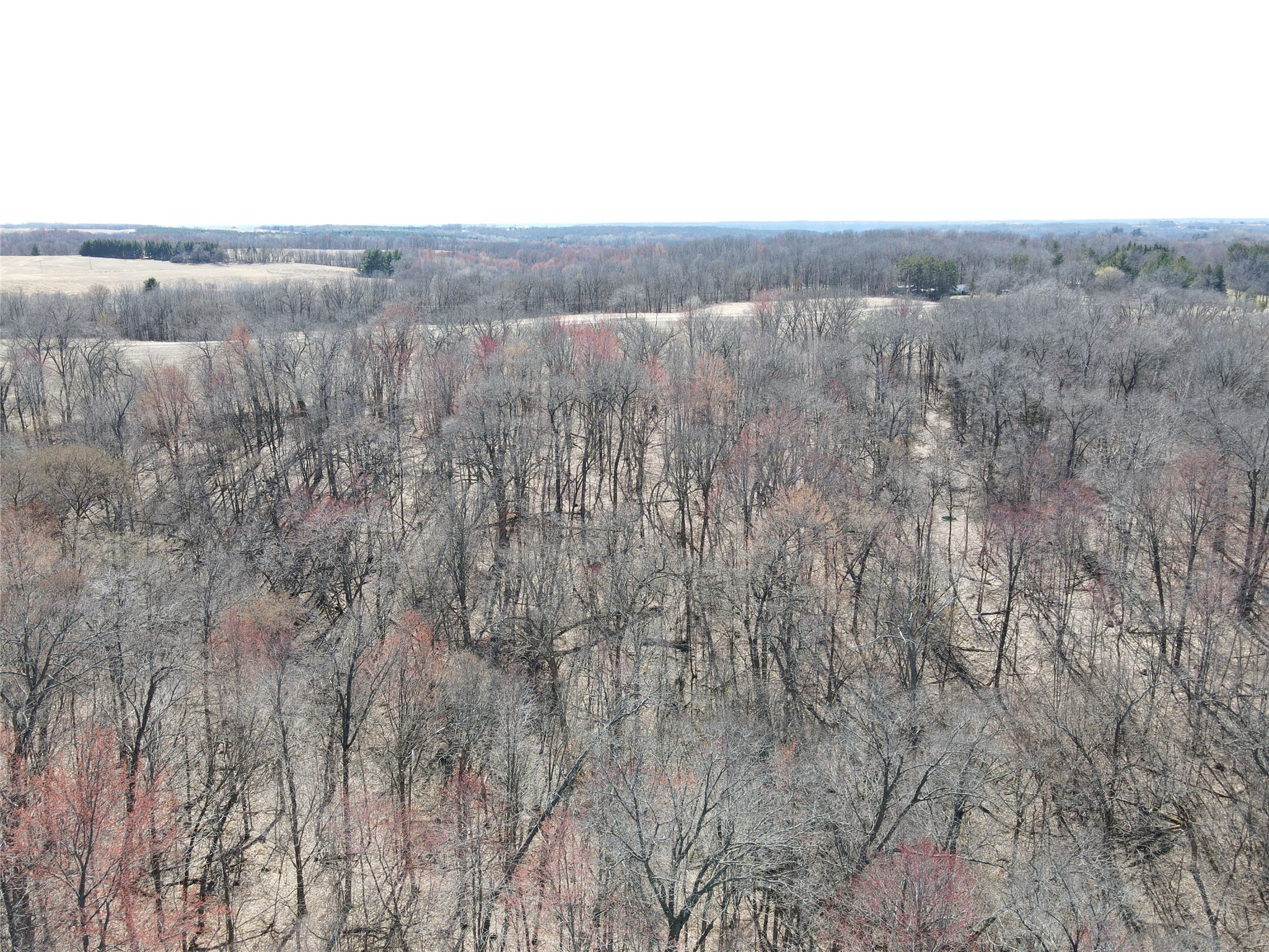 000 160th Avenue Maiden Rock WI 54750 1599762 image8