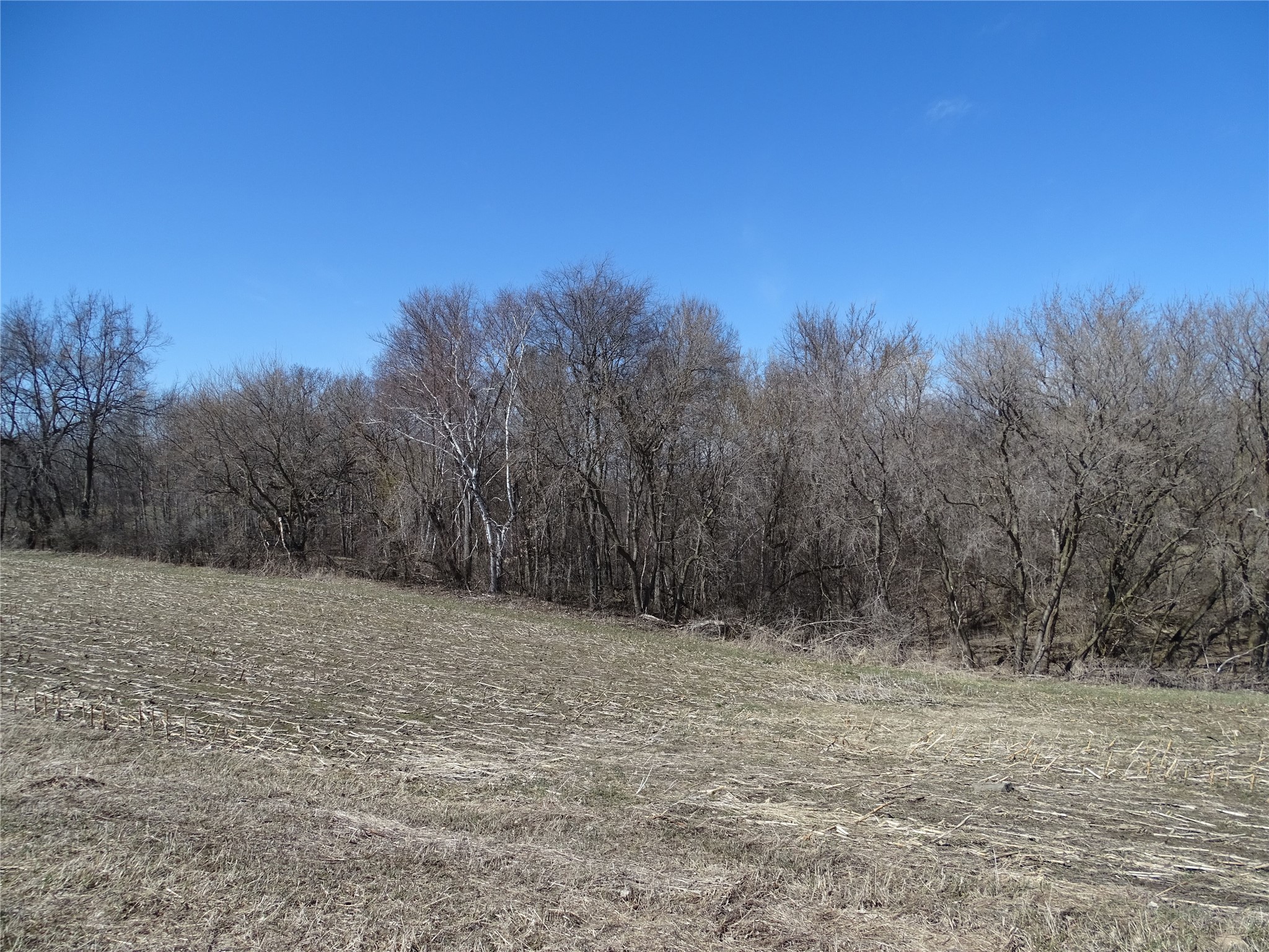 000 160th Avenue Maiden Rock WI 54750 1599763 image1