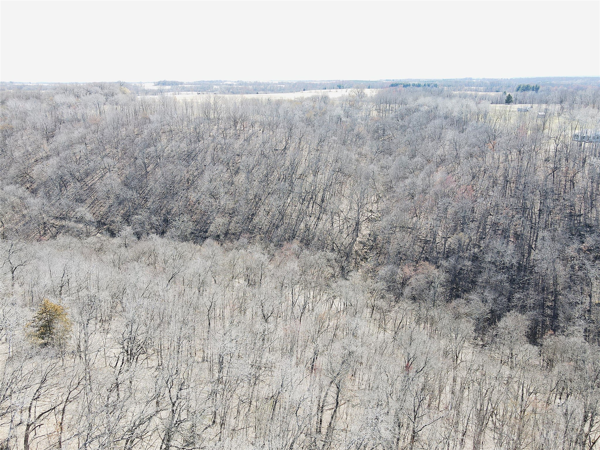 000 160th Avenue Maiden Rock WI 54750 1599763 image6