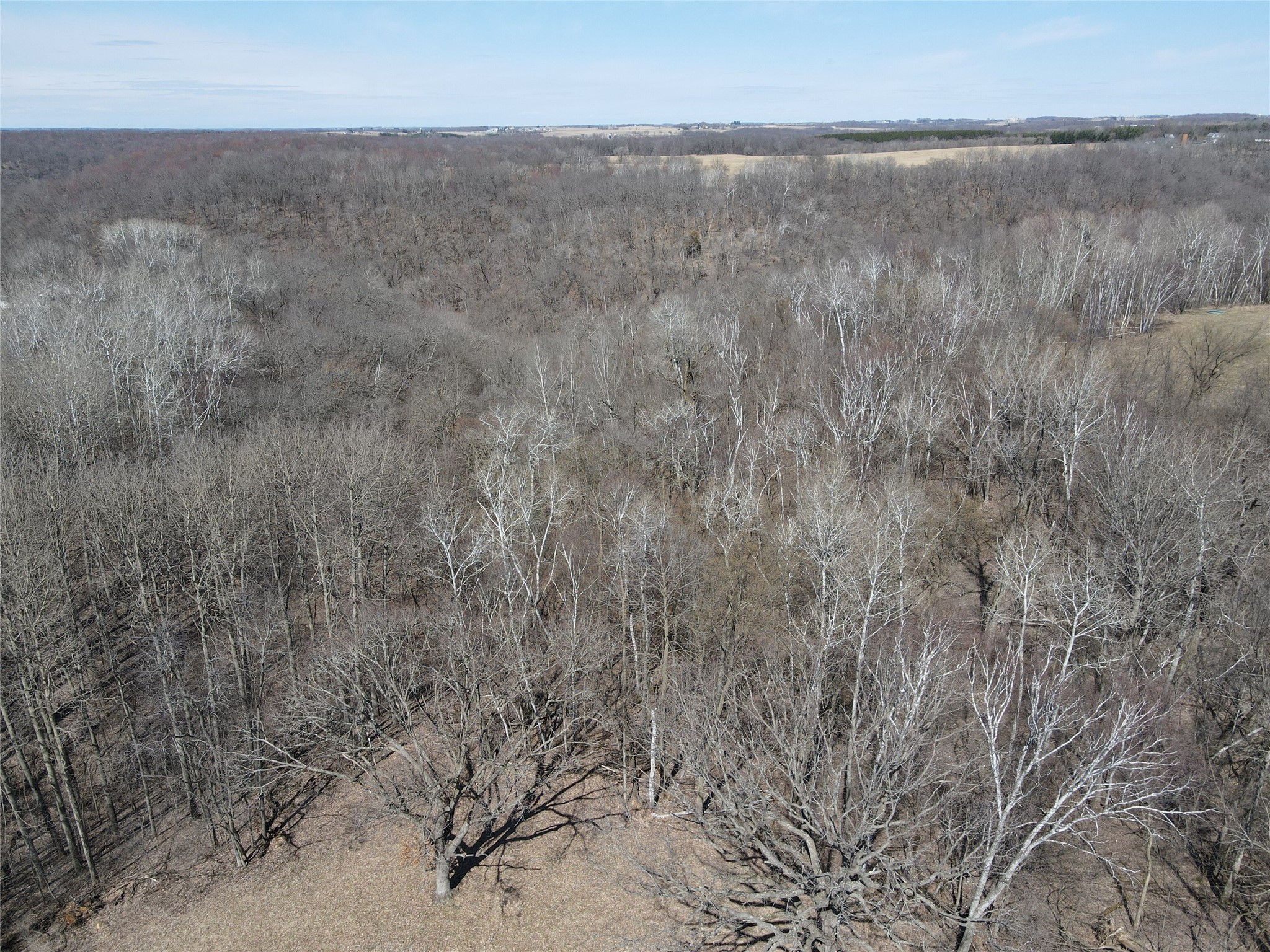 000 160th Avenue Maiden Rock WI 54750 1599763 image8