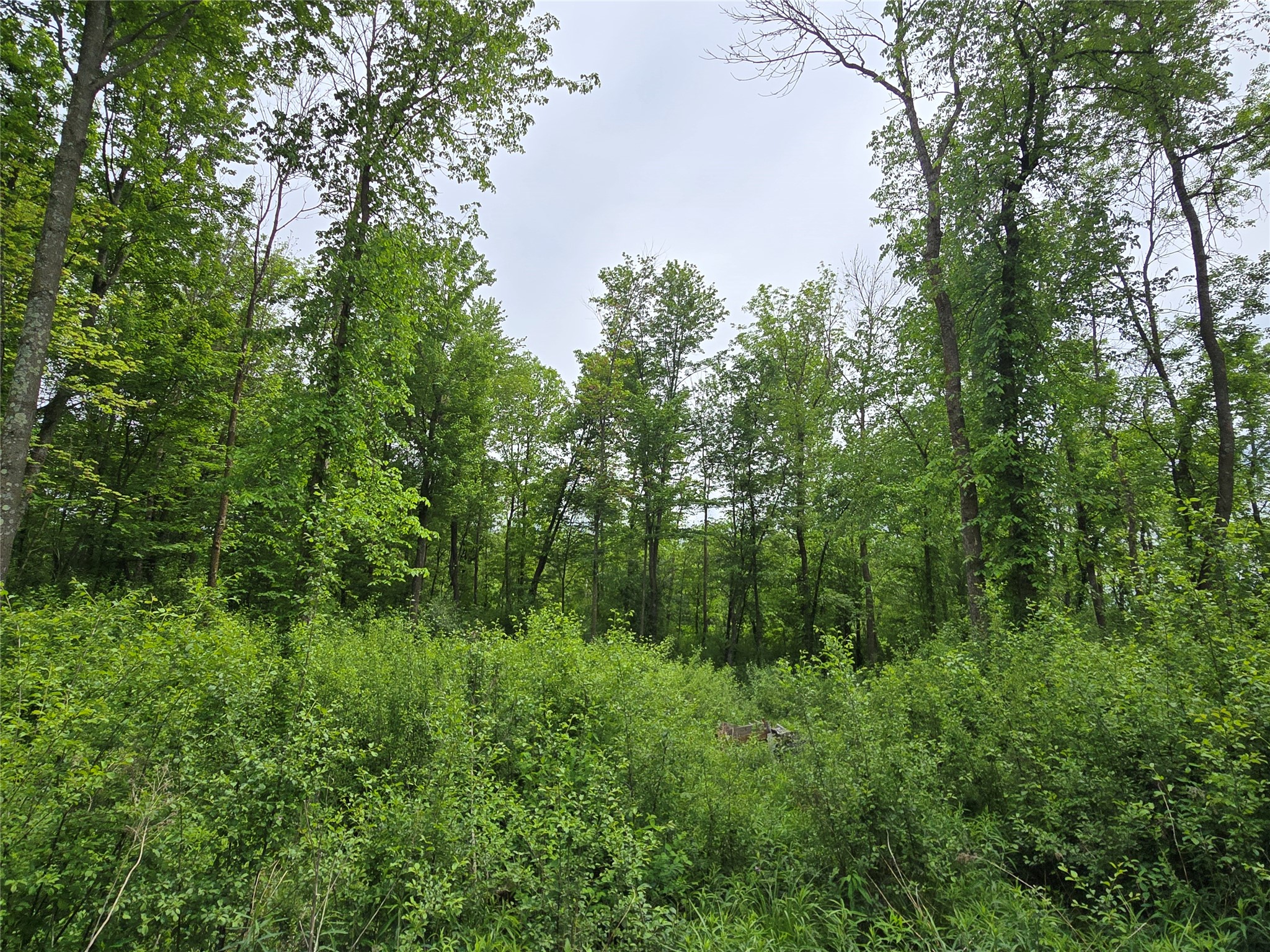 000 27th Street Chetek WI 54728 1601749 image1