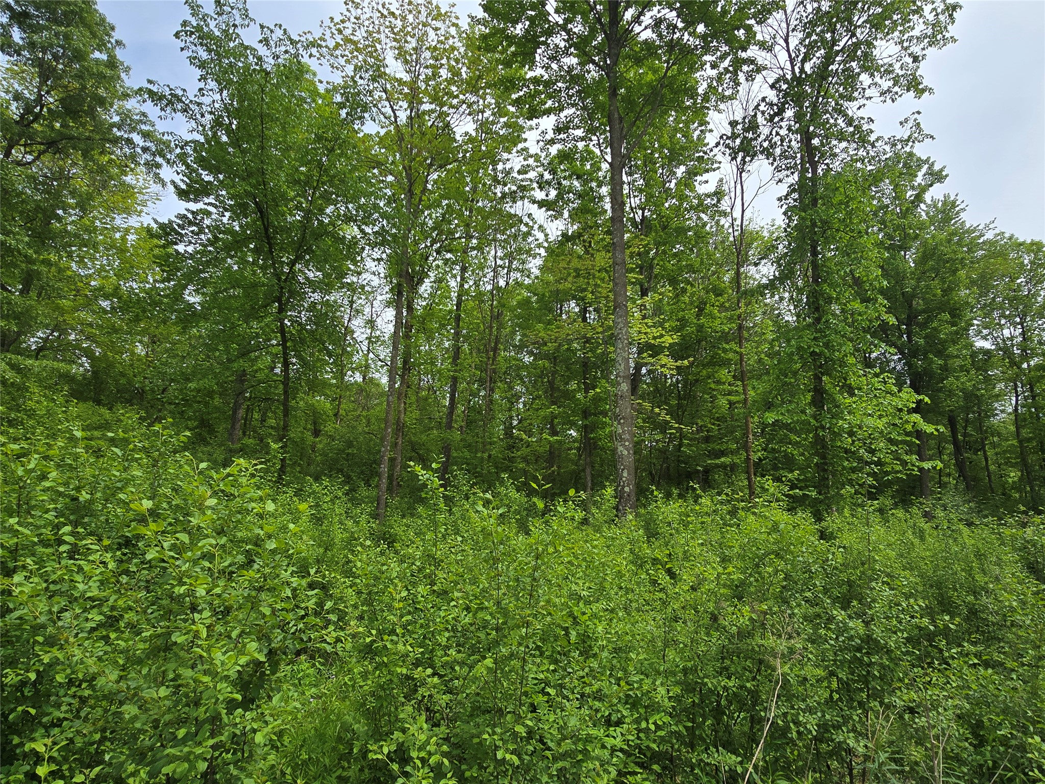 000 27th Street Chetek WI 54728 1601749 image2