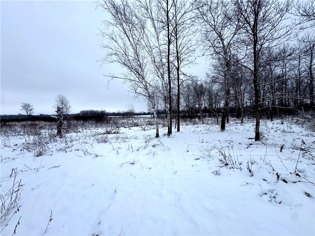 000 326th Street Boyd WI 54726 1598613 image10