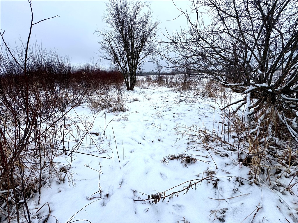 000 326th Street Boyd WI 54726 1598613 image12