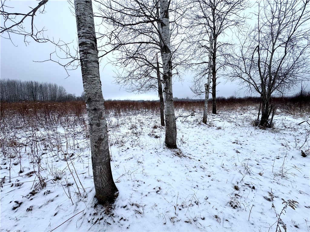 000 326th Street Boyd WI 54726 1598613 image4