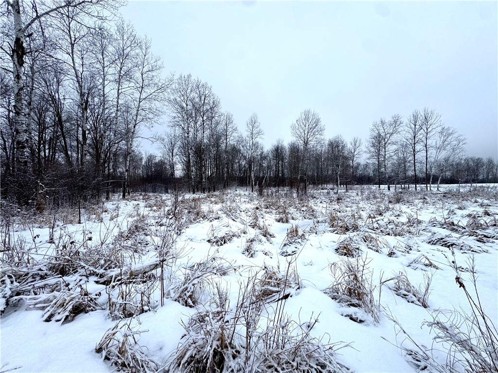 000 326th Street Boyd WI 54726 1598613 image6