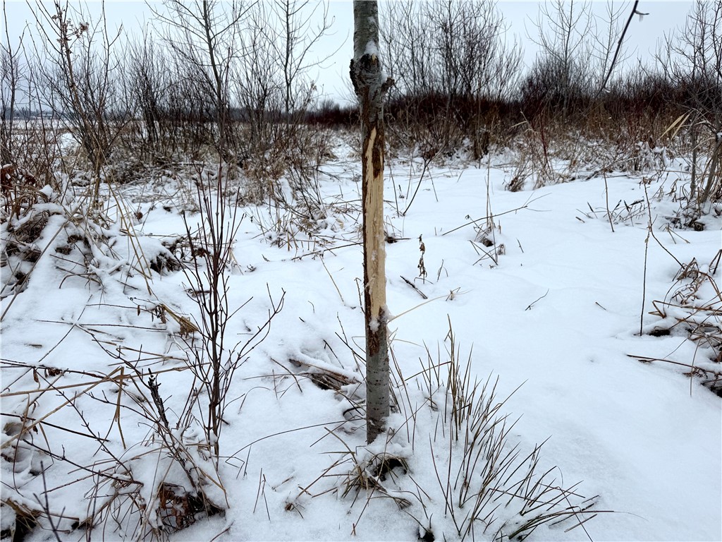 000 326th Street Boyd WI 54726 1598613 image8