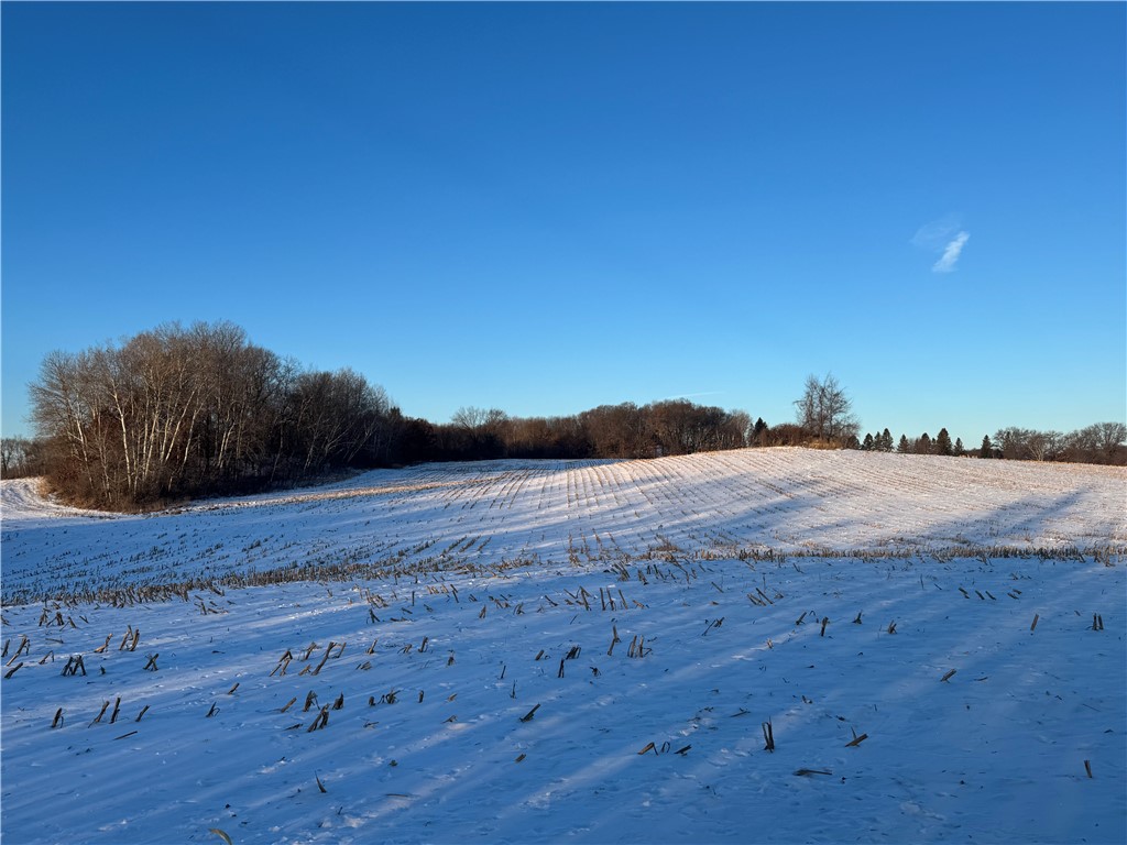 000 60th Avenue Elk Mound WI 54739 1588401 image1