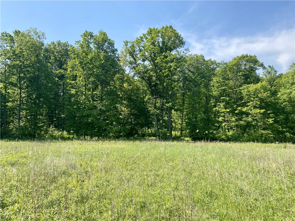 000 7 1/4-8th Avenue Dallas WI 54733 - Dorrity 1592542 image1