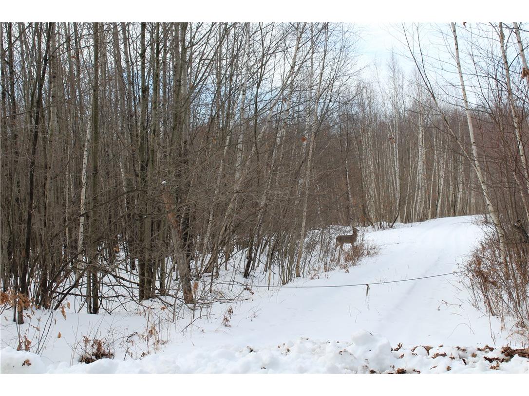 000 Badger Avenue Granton WI 54436 1597787 image1