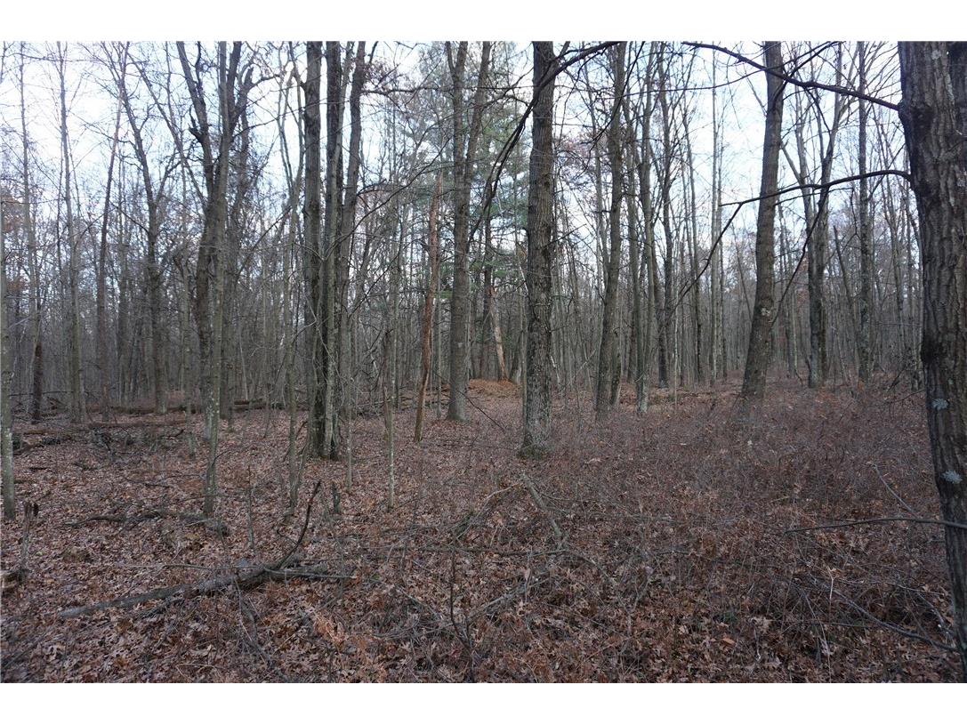 000 Birch Ln Nekoosa WI 54457 1597129 image10