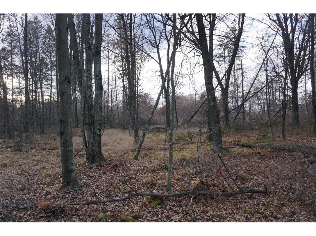 000 Birch Ln Nekoosa WI 54457 1597129 image11