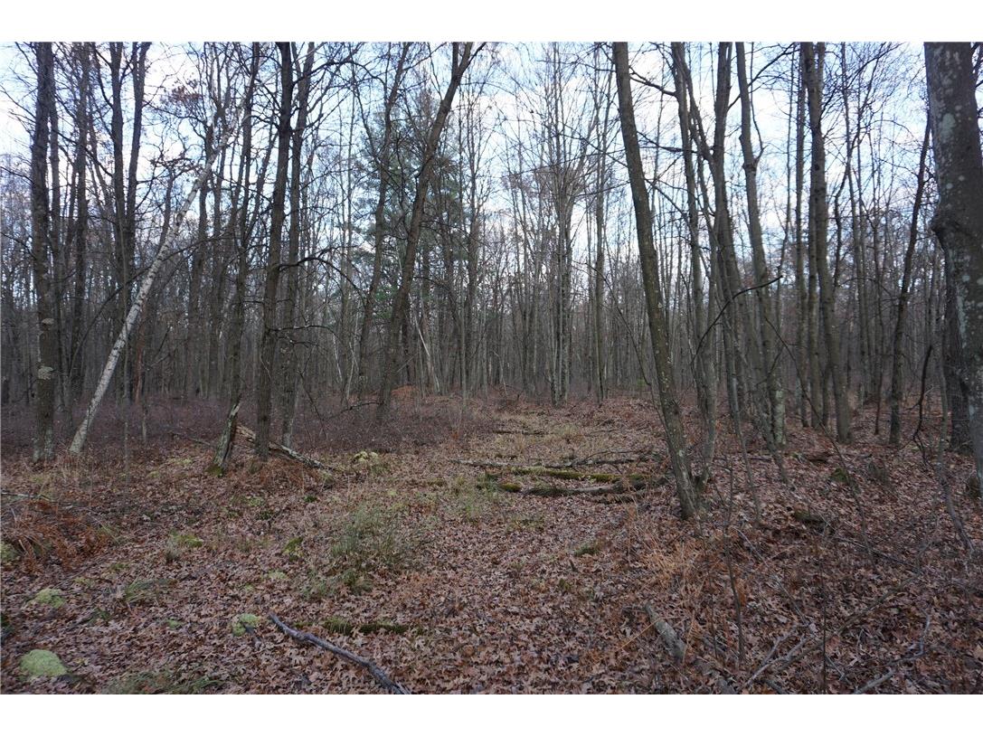 000 Birch Ln Nekoosa WI 54457 1597129 image12