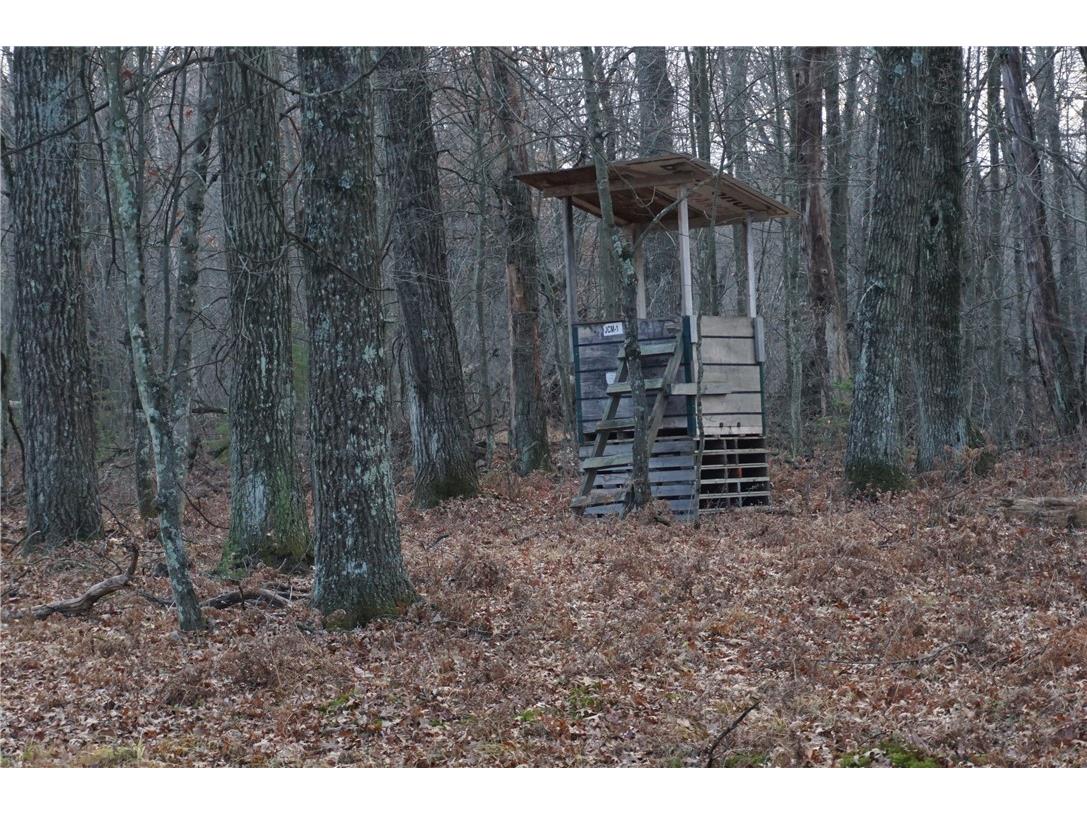 000 Birch Ln Nekoosa WI 54457 1597129 image13