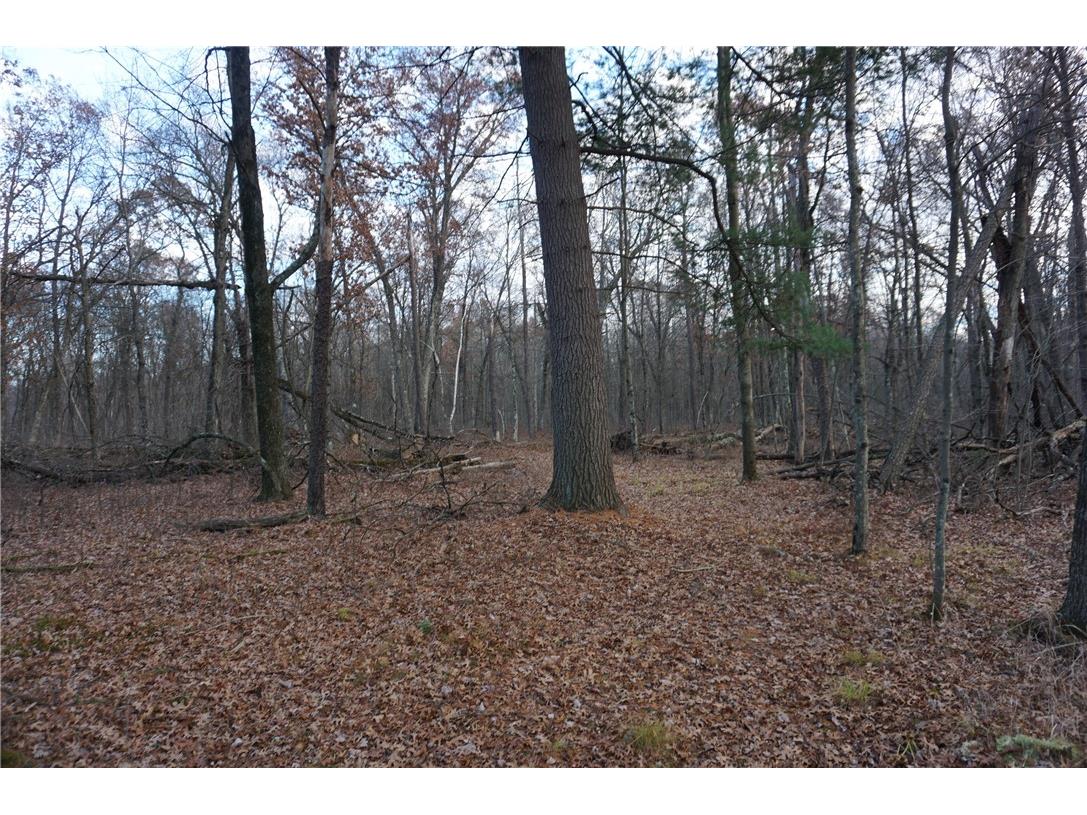 000 Birch Ln Nekoosa WI 54457 1597129 image14